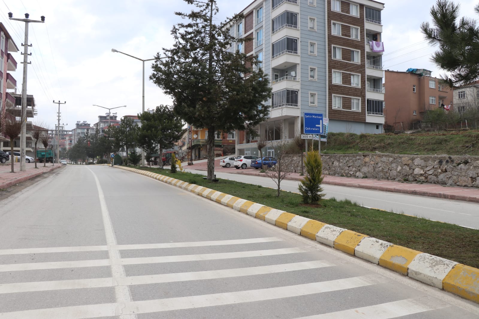 KAVAK’TA SESSİZ YAŞAM